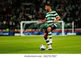 2012 纽约之光：R.A. 迪奇凭借蝴蝶球神迹夺得国联赛扬奖，成为史上首位蝴蝶球赛扬得主