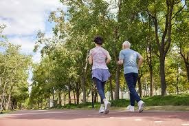 WBC成为全球棒球盛事